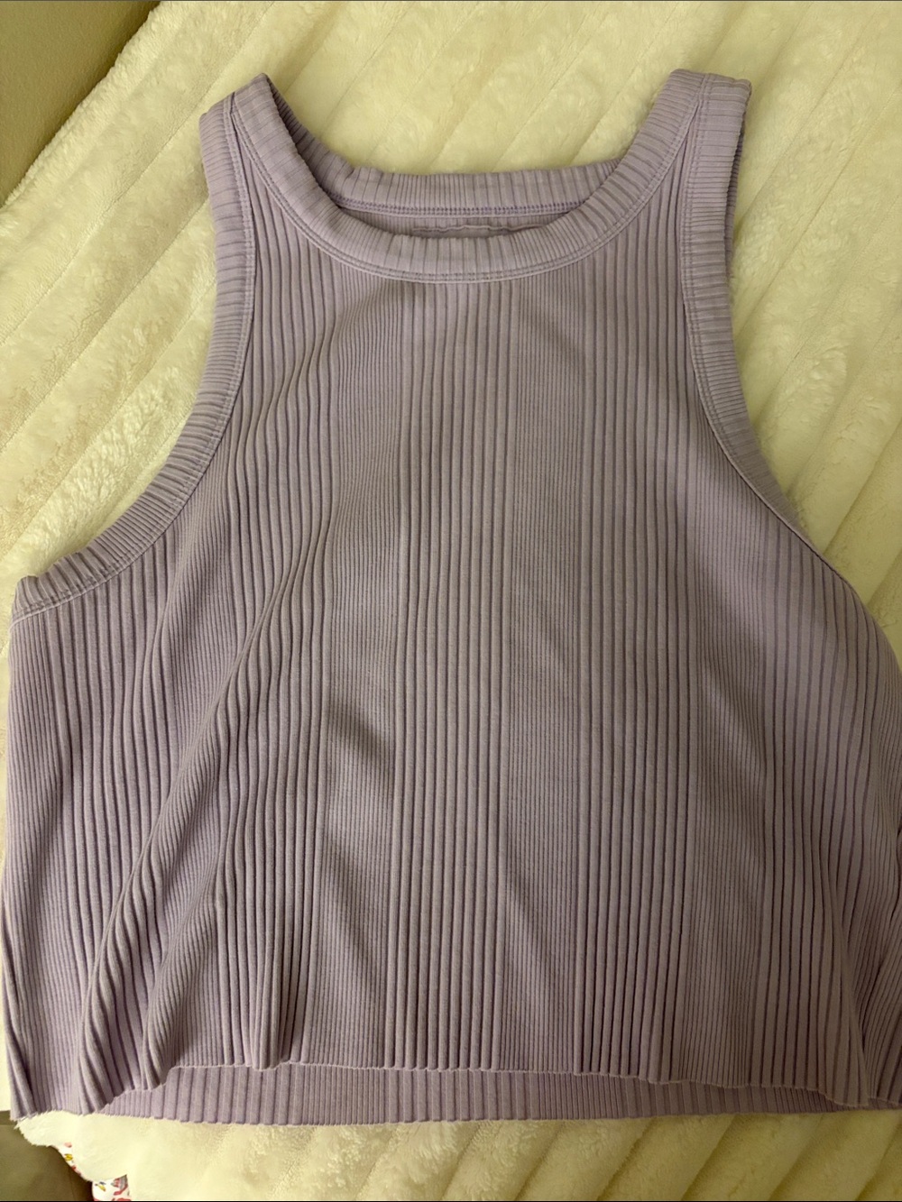 aerie Ribbed Lilac Crop Tank